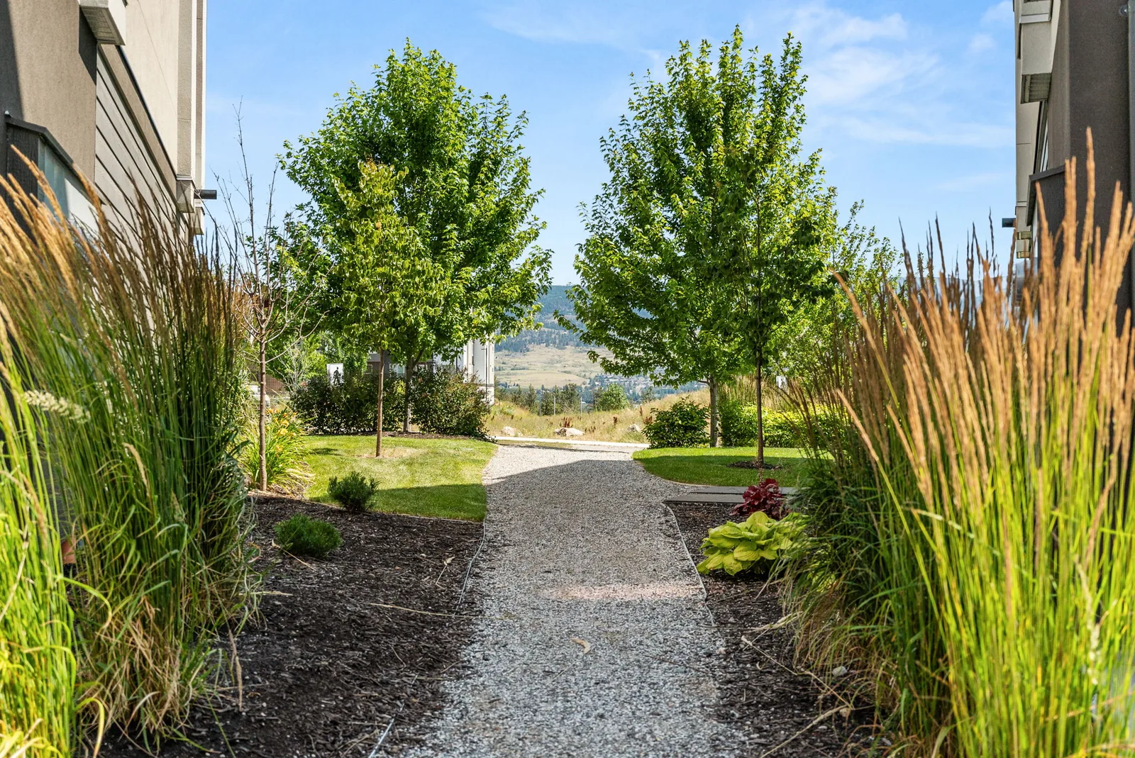 Landscaped pathway winding between Academy Ridge townhomes